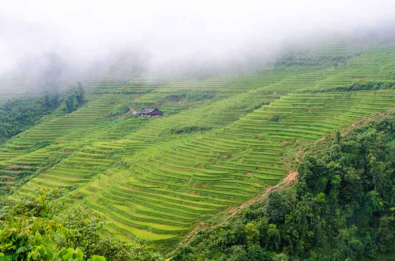 245 - Vietnam - montes Hoang Lien o Alpes Tonquineses - paisaje